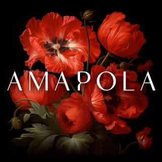 Amapola